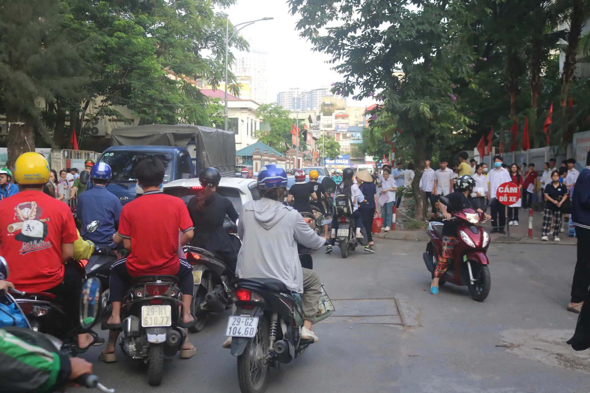 Hình ảnh 8