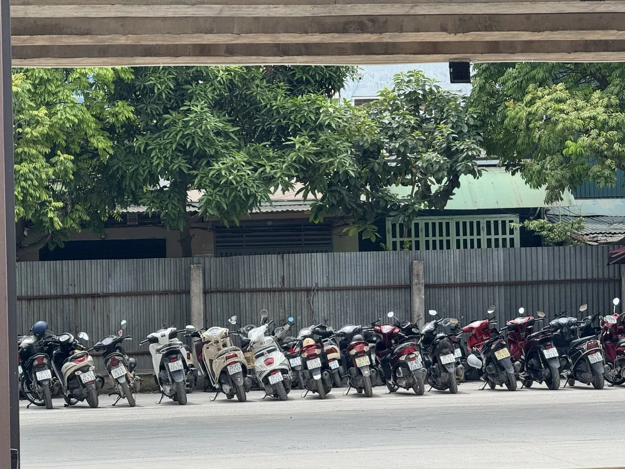Hình ảnh 6