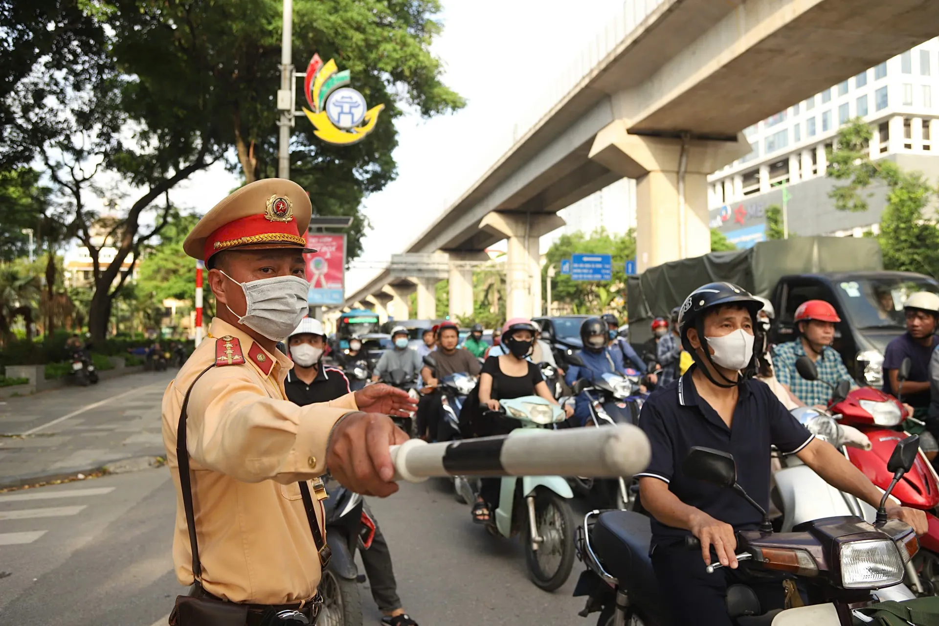 Hình ảnh 2