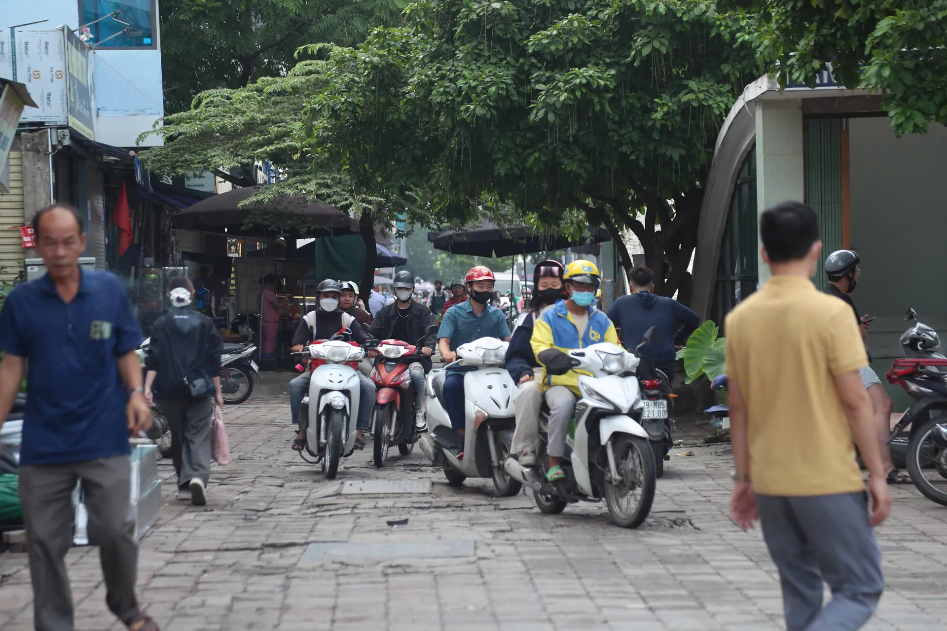 Hình ảnh 1
