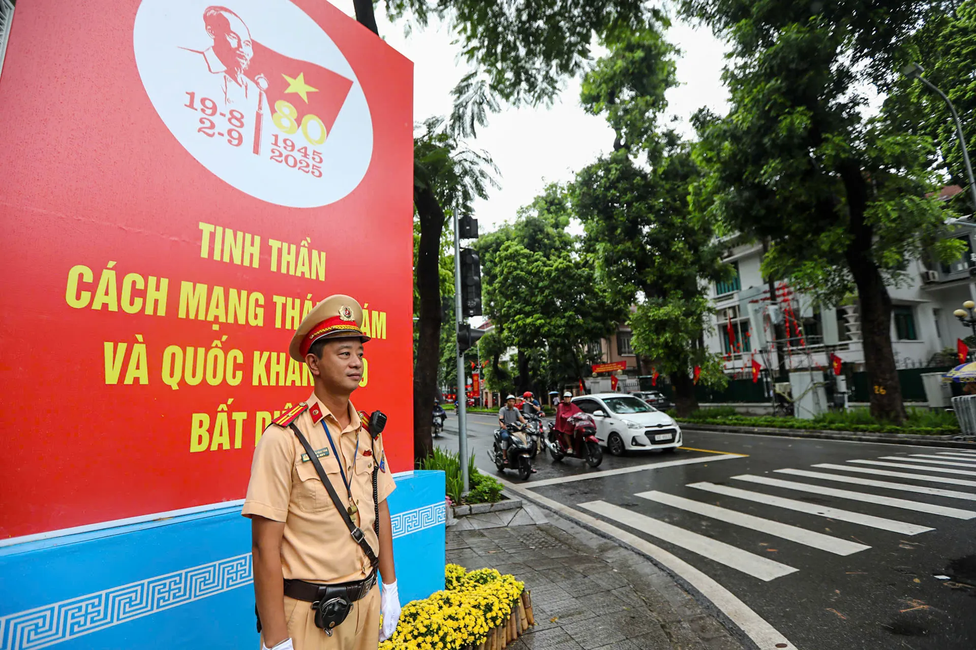 Hình ảnh 3