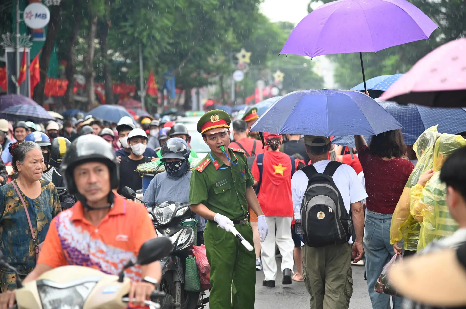 Hình ảnh 5
