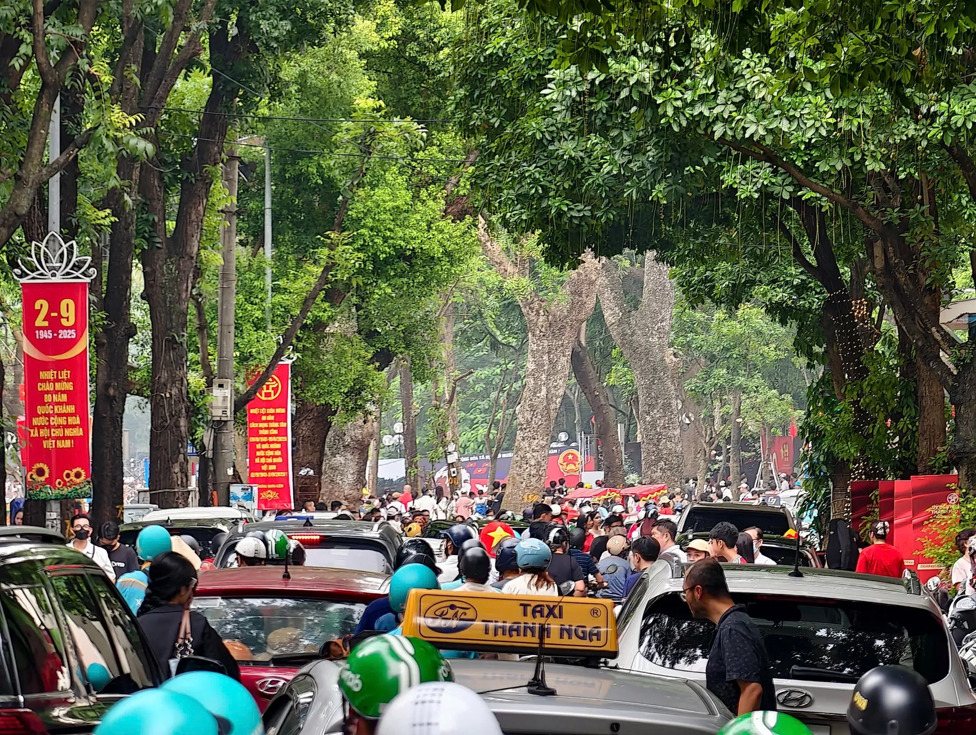 Hình ảnh 3