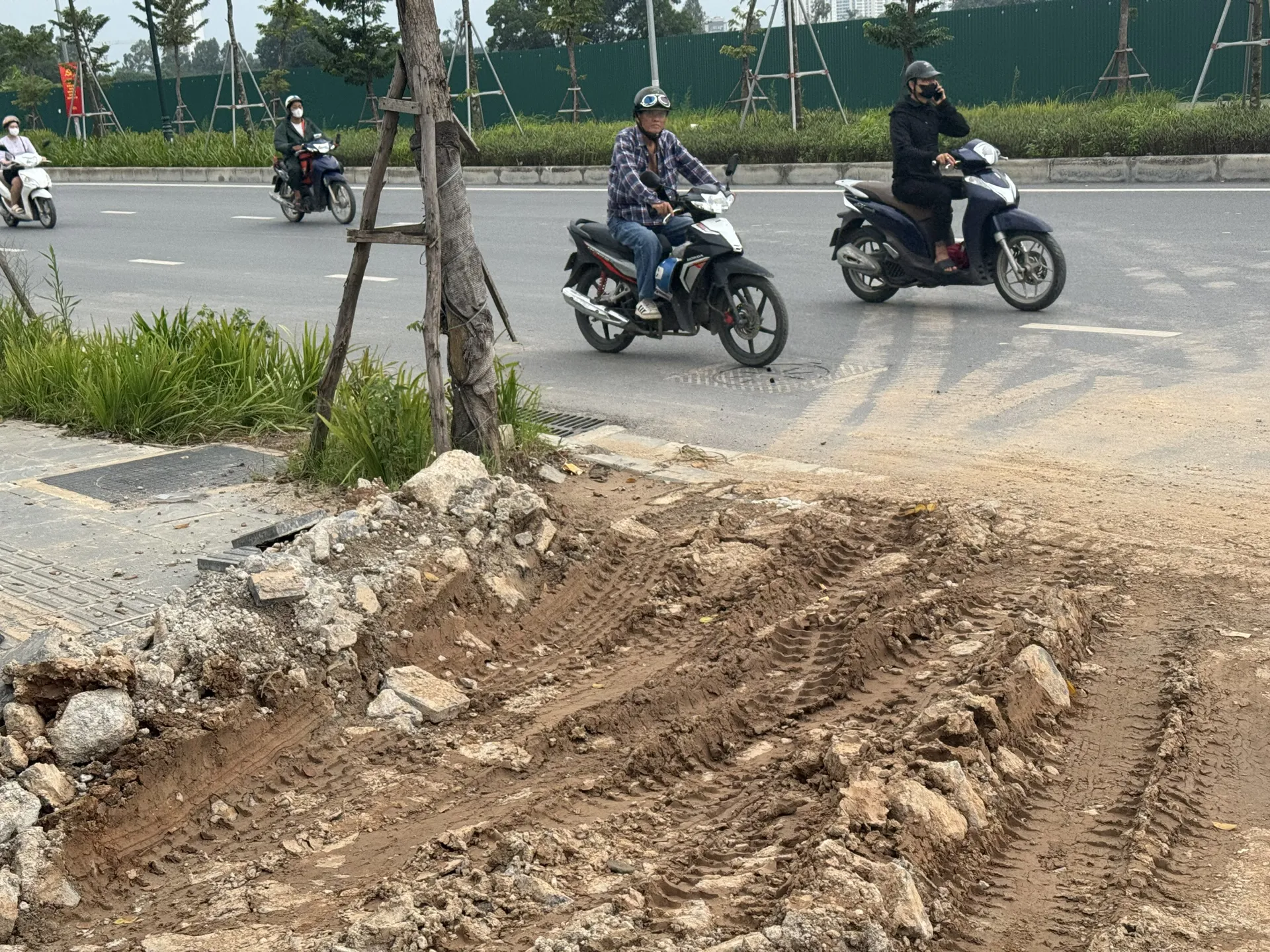 Hình ảnh 3