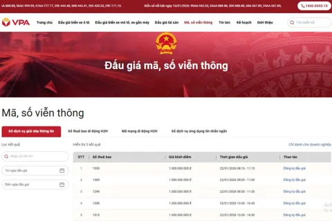 Chính thức đấu giá quyền sử dụng mã, số viễn thông