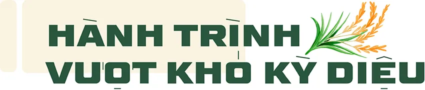 Hình ảnh 7