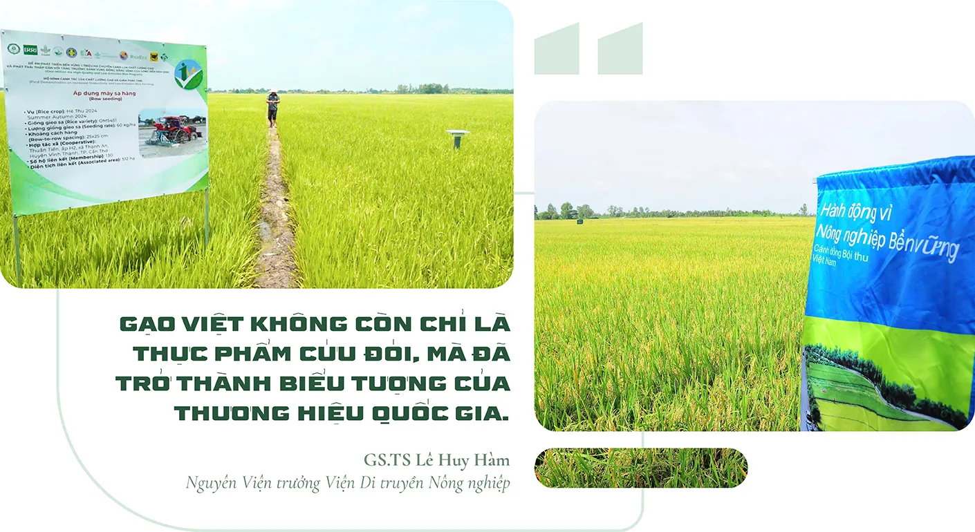 Hình ảnh 8