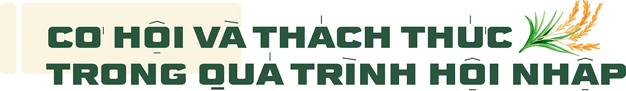 Hình ảnh 9