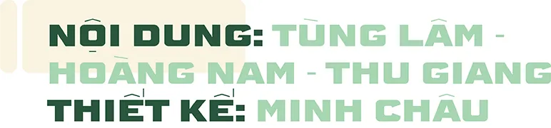 Hình ảnh 12