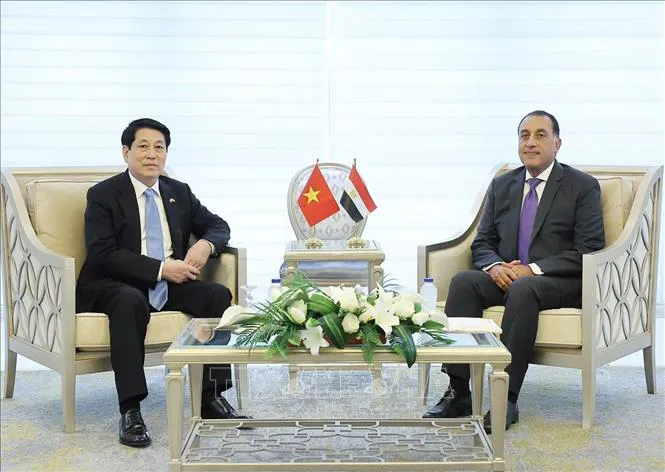 Hình ảnh 1