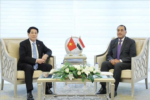 Nhất trí đẩy mạnh hợp tác kinh tế Việt Nam - Ai Cập theo hướng bền vững, cùng có lợi