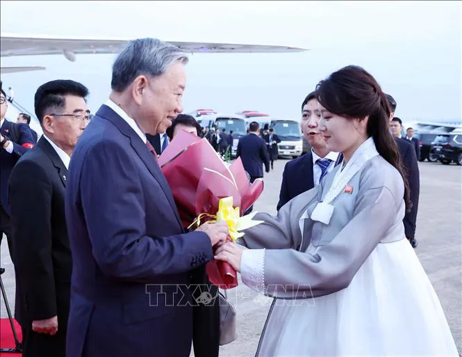 Hình ảnh 3