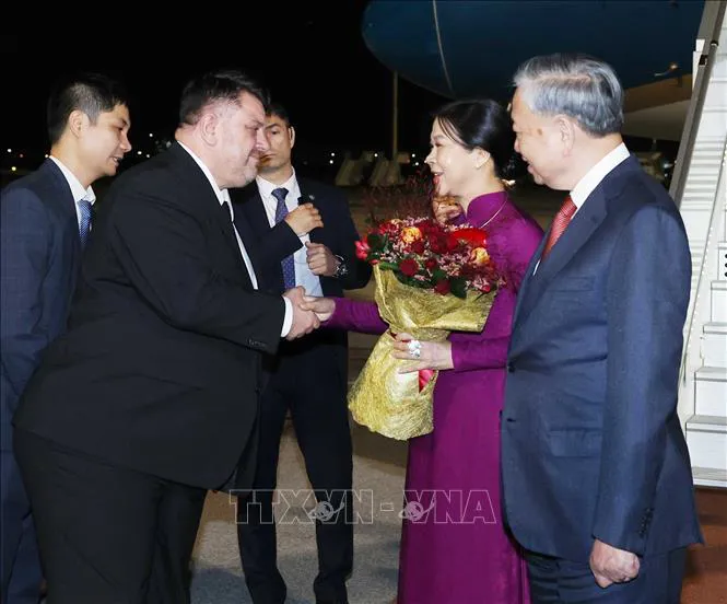 Hình ảnh 2