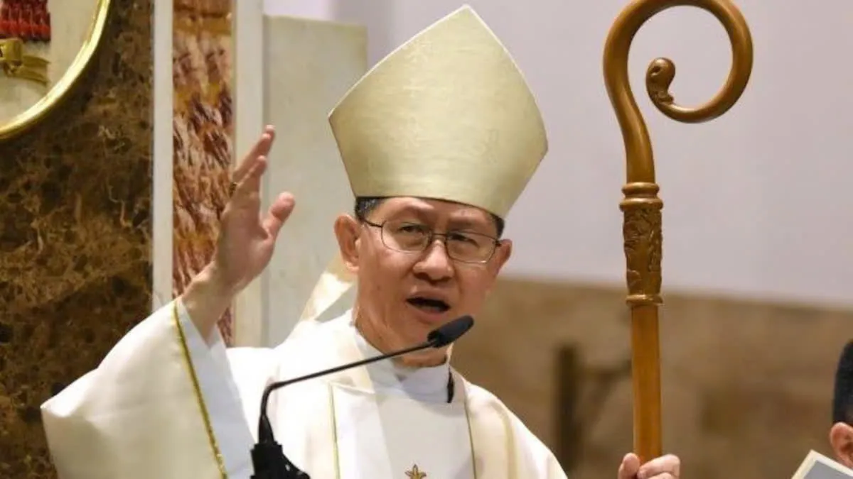 Hình ảnh 1