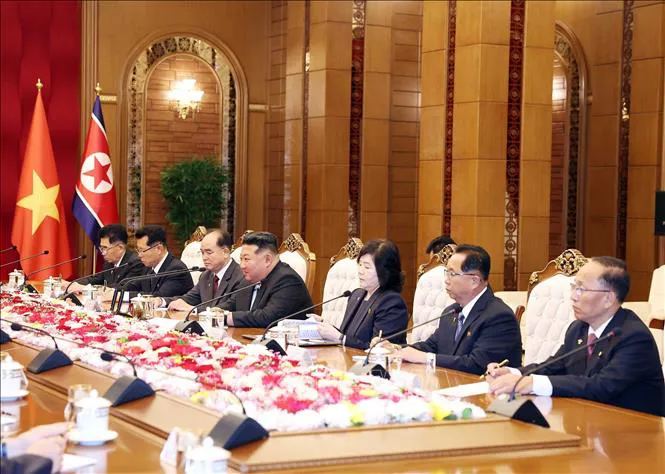 Hình ảnh 10