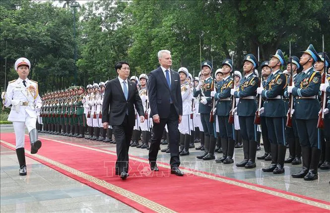 Hình ảnh 7
