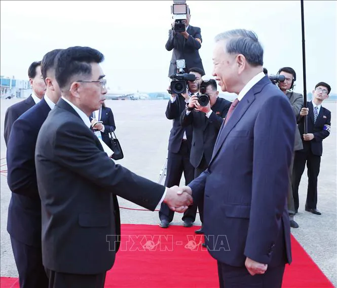Hình ảnh 2