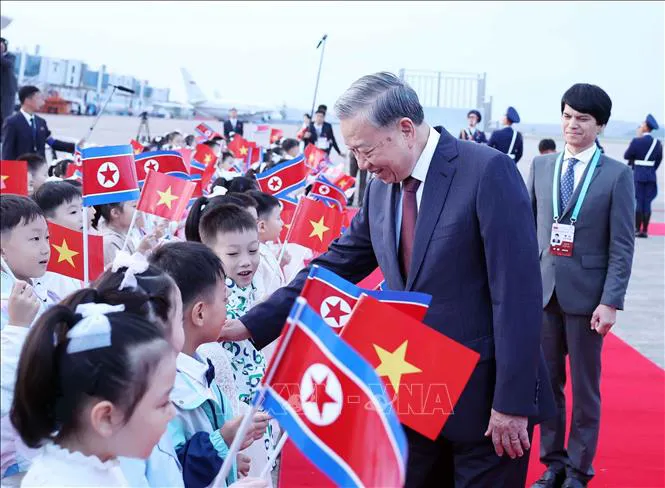 Hình ảnh 8