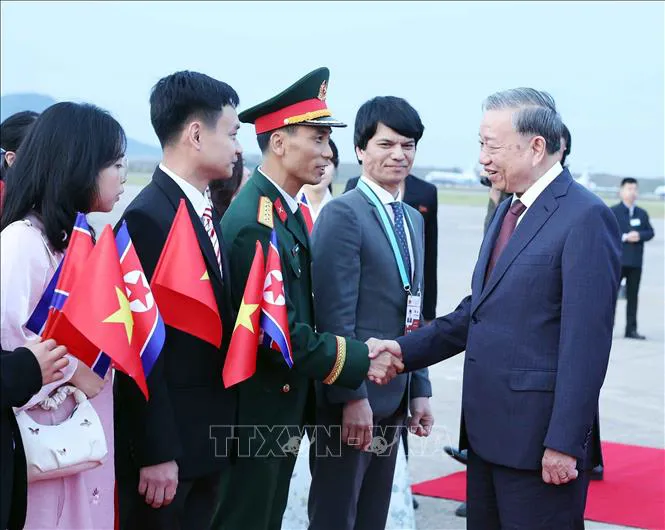 Hình ảnh 5