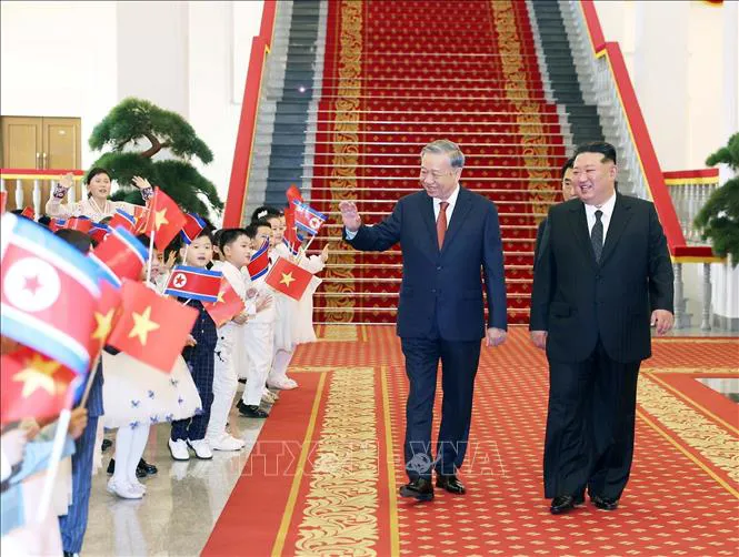 Hình ảnh 17