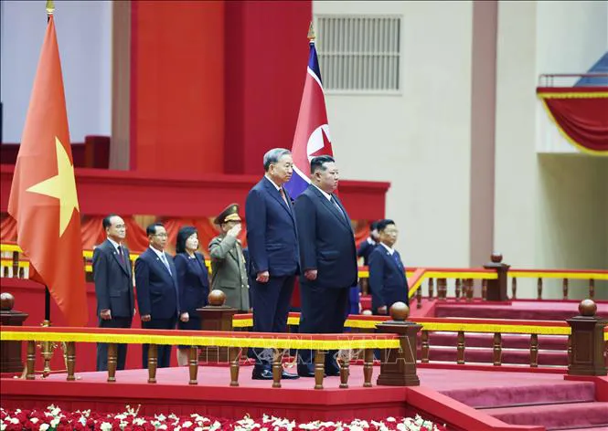 Hình ảnh 14