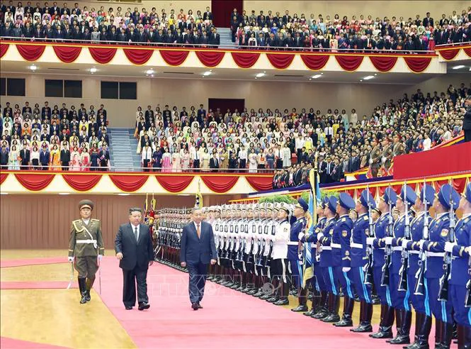 Hình ảnh 12