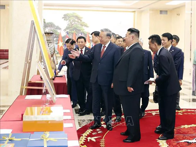 Hình ảnh 1