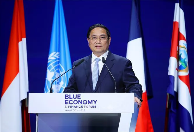 Hình ảnh 3