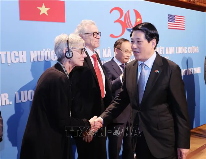 Hình ảnh 2