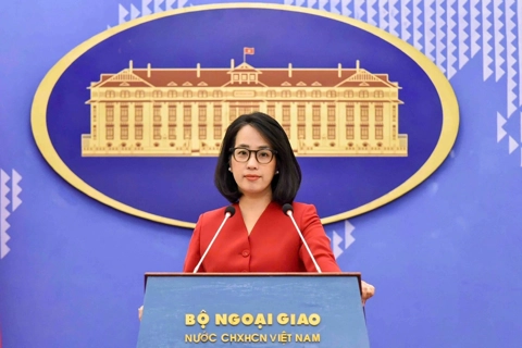 Việt Nam trở thành đối tác chính thức của Nhóm BRICS
