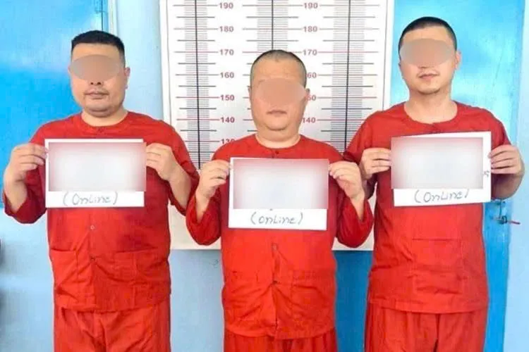 Hình ảnh 2