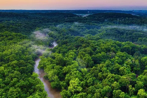 Dân địa phương đụng độ với lực lượng an ninh tại COP30, kêu gọi bảo vệ rừng Amazon
