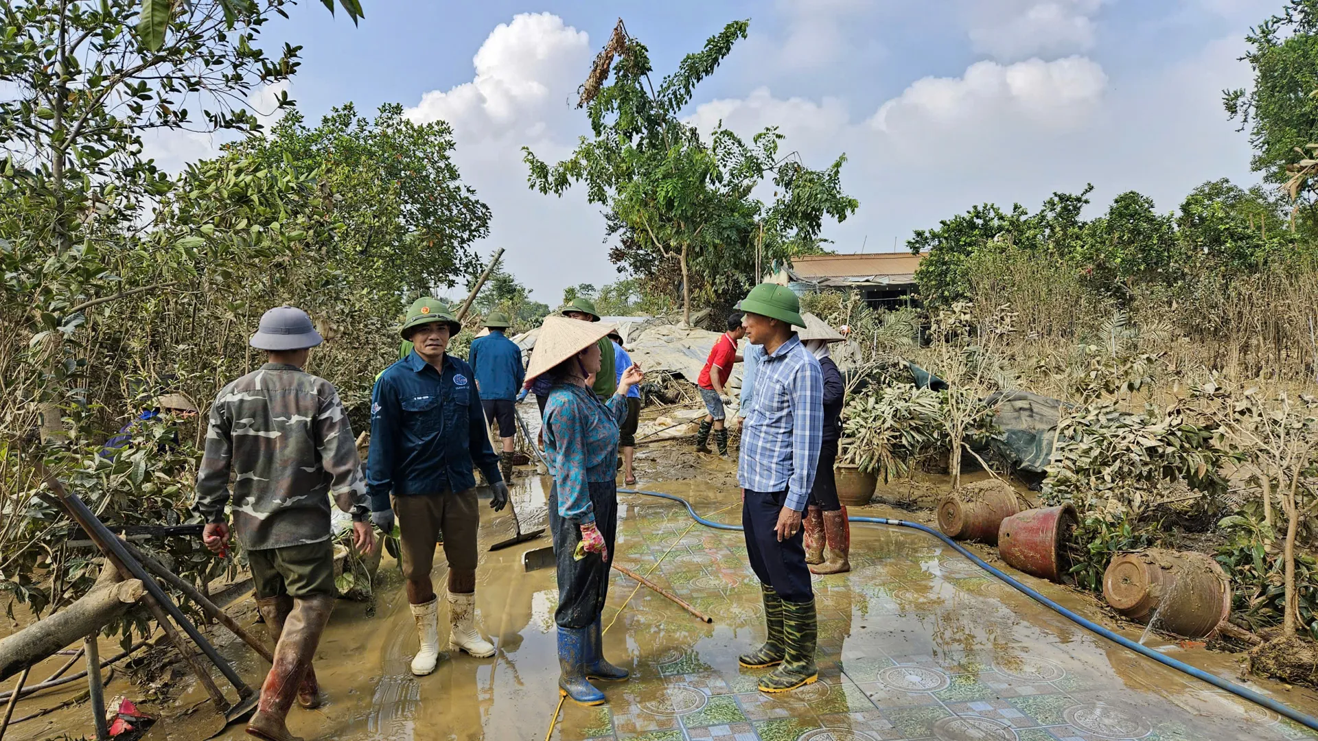 Hình ảnh 6