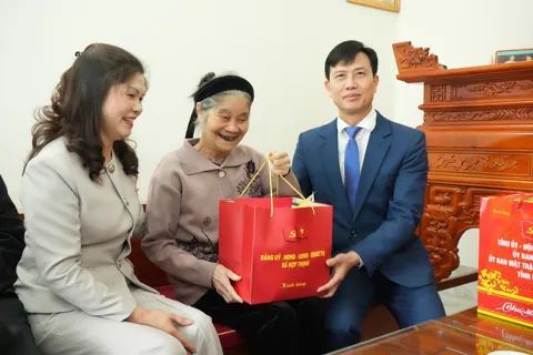 Bắc Ninh: Phó Chủ tịch HĐND tỉnh Lâm Thị Hương Thành tặng quà tết cho người có công xã Hợp Thịnh