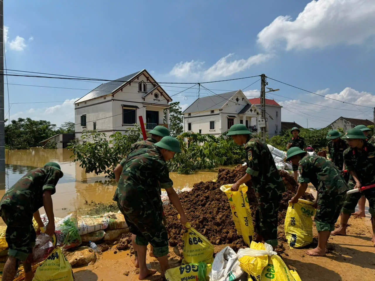 Hình ảnh 2