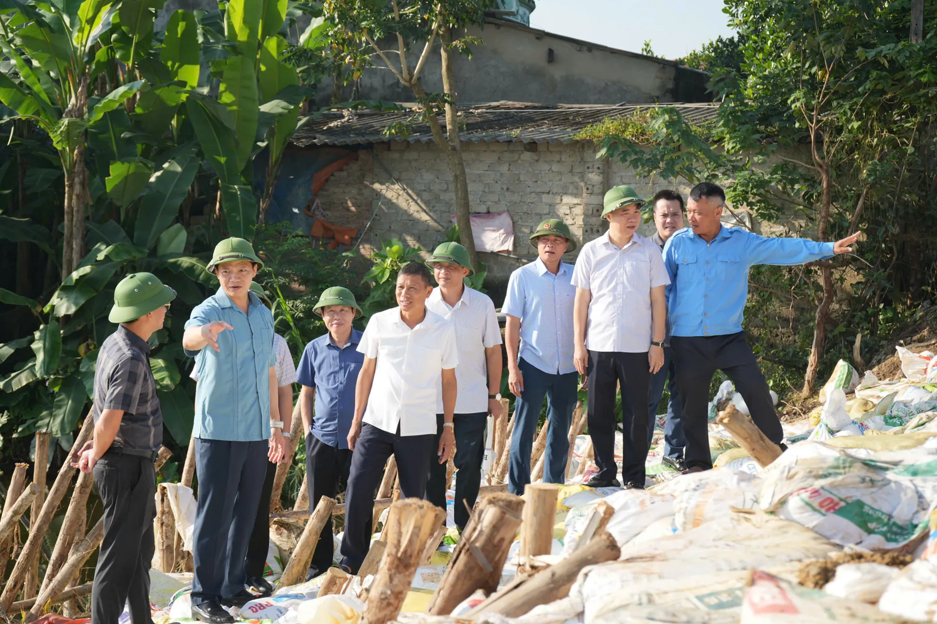 Hình ảnh 1