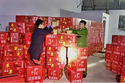 Buôn bán hơn 11 tấn pháo nổ, 5 người lĩnh tổng cộng 32 năm tù