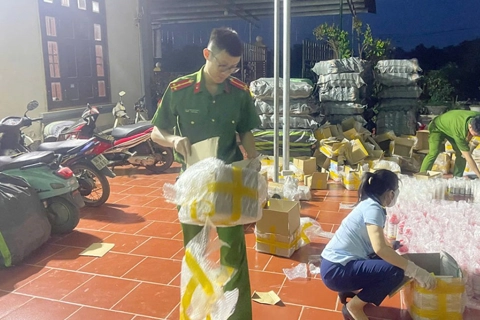 Bắc Giang: khởi tố vụ án sản xuất thuốc bảo vệ thực vật giả
