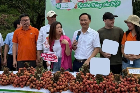 Phó Chủ tịch UBND tỉnh Bắc Ninh livestream bán 54 tấn vải thiều trong 6 giờ