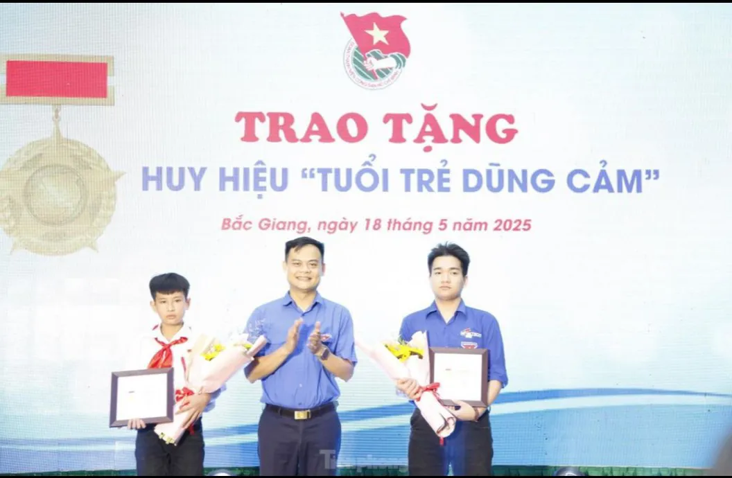 Hình ảnh 2
