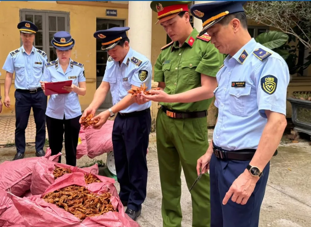 Hình ảnh 1