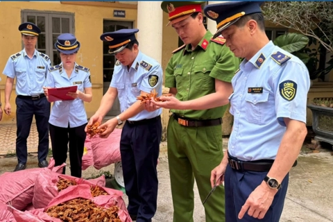 Lạng Sơn: tạm giữ 1.500 kg chân gà không rõ nguồn gốc
