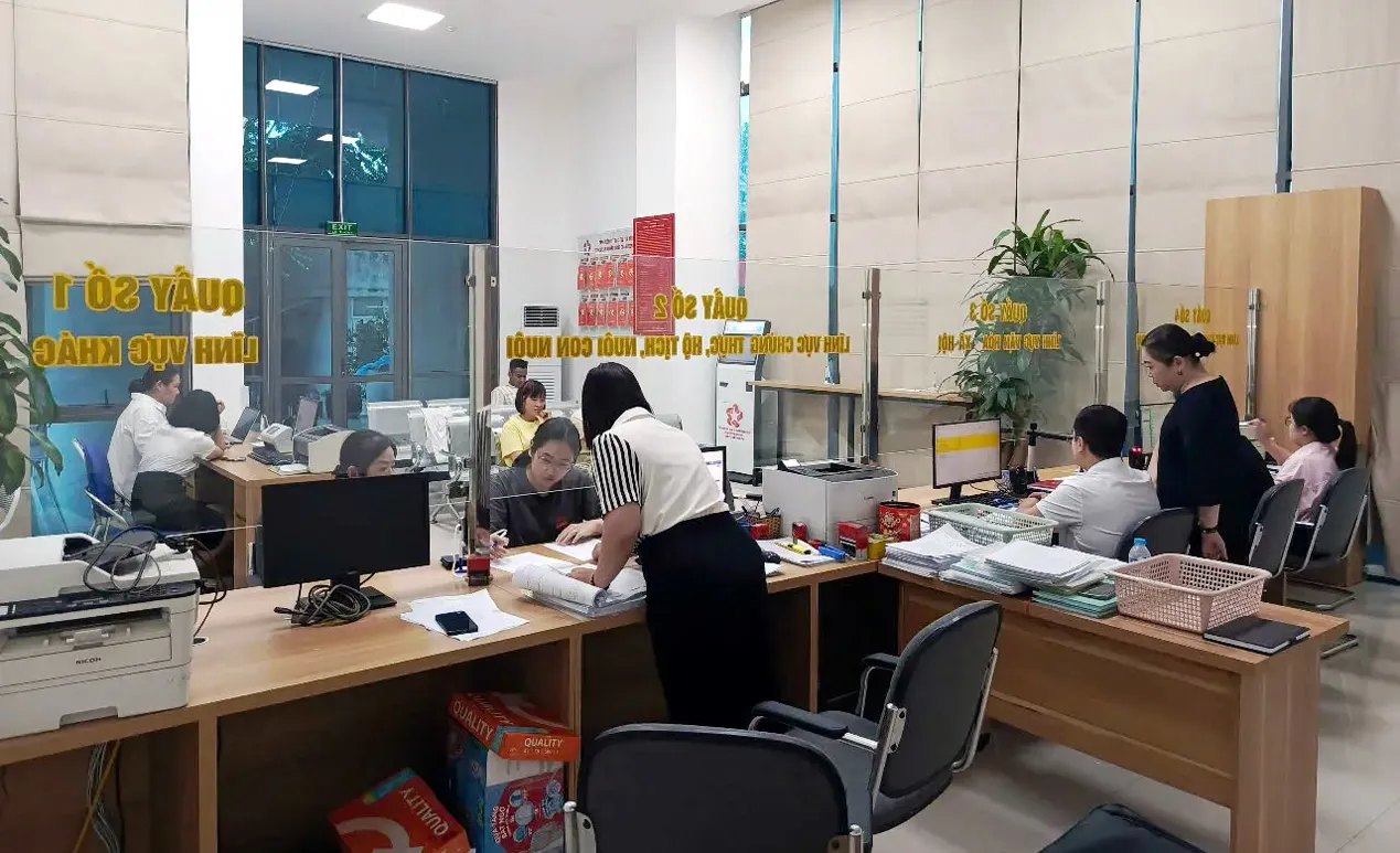Hình ảnh 1