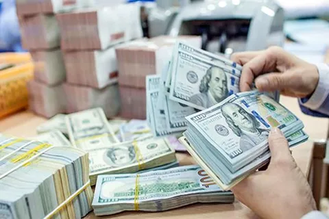 Tỷ giá USD hôm nay 8/11: Thị trường tự do đi ngang, trong ngân hàng ổn định