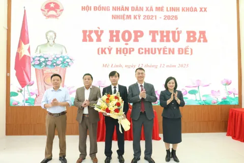 Ông Trần Nguyễn Ngọc được bầu làm Phó Chủ tịch UBND xã Mê Linh