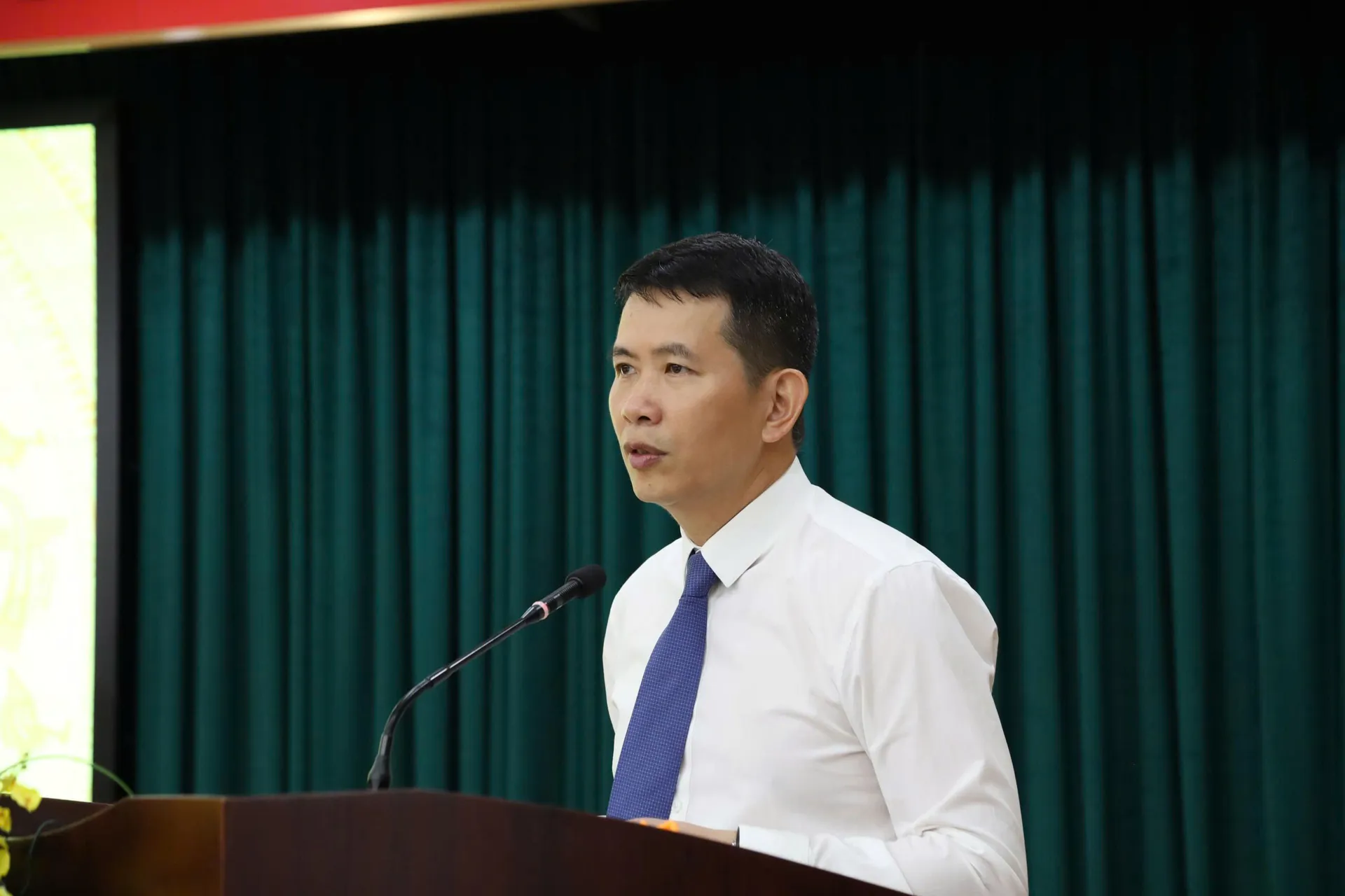 Hình ảnh 3
