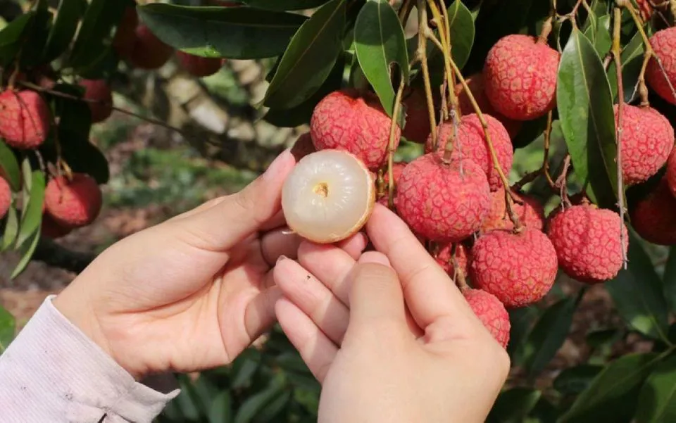 Hình ảnh 1