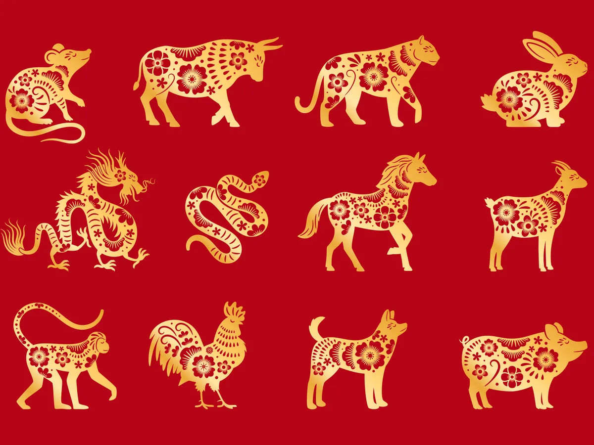 Hình ảnh 1