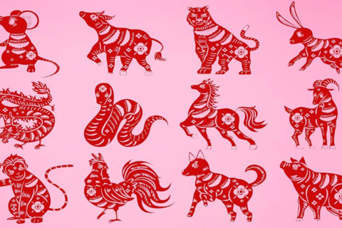 Tài lộc, con số may mắn ngày 7/11/2025