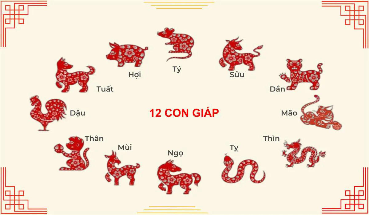 Hình ảnh 1